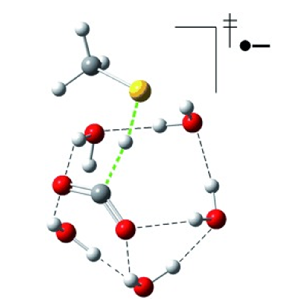 Publication 5
